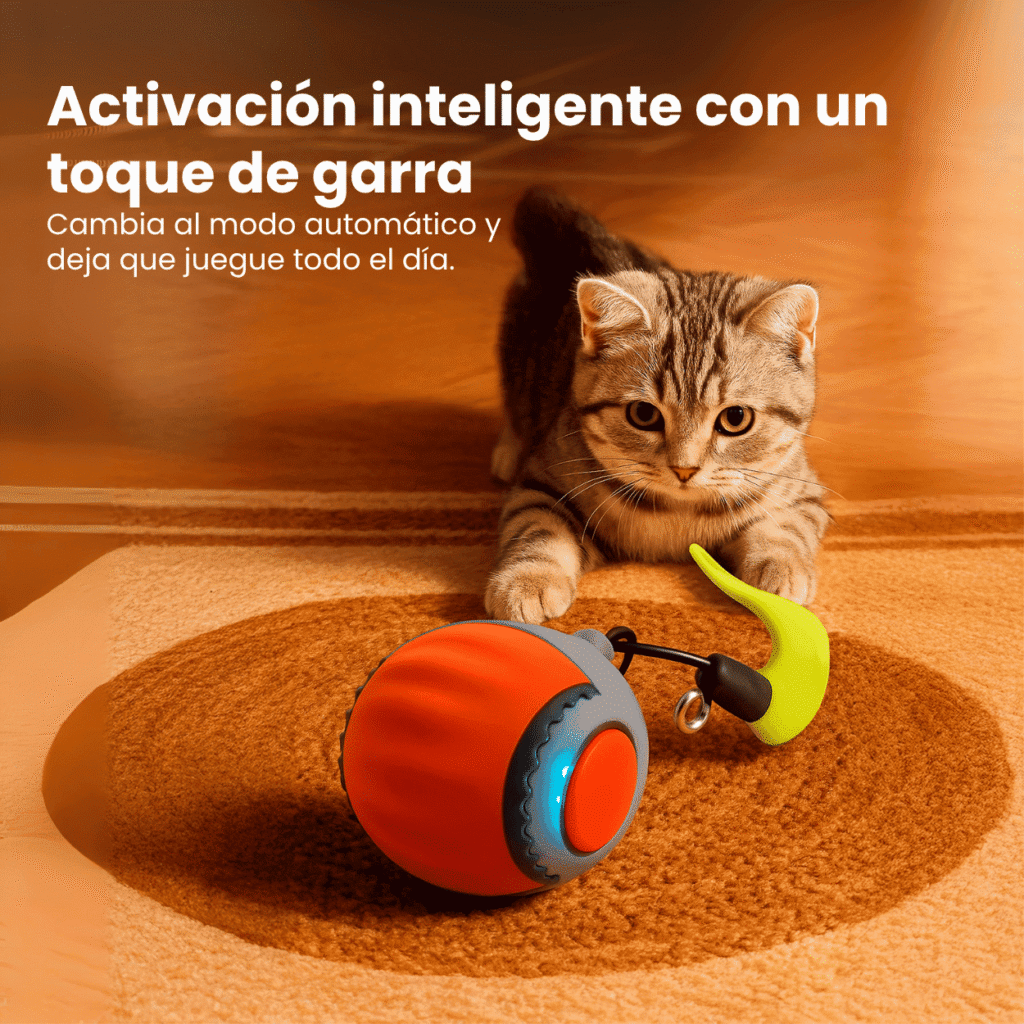 pelota inteligente para gatos ChaseBall