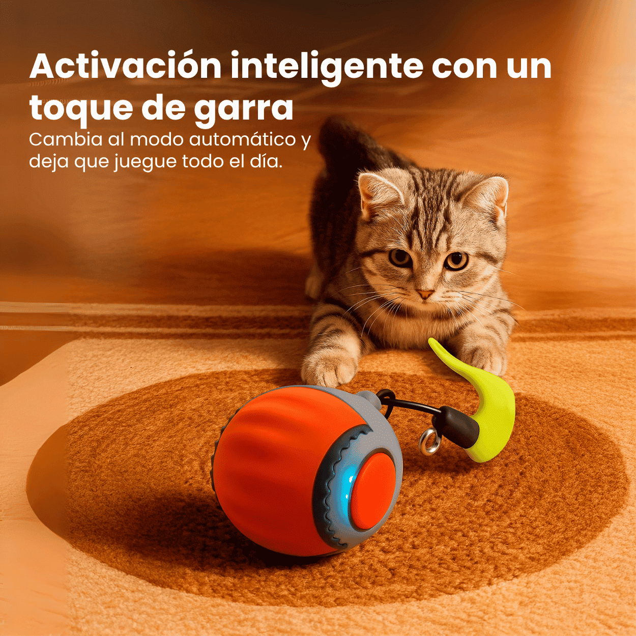 Po pelota inteligente para gatos ChaseBall